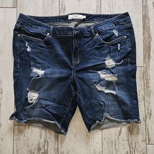 Torrid NWOT Distressed Denim Women Shorts 24